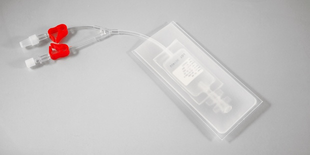 stemchoice_620x310